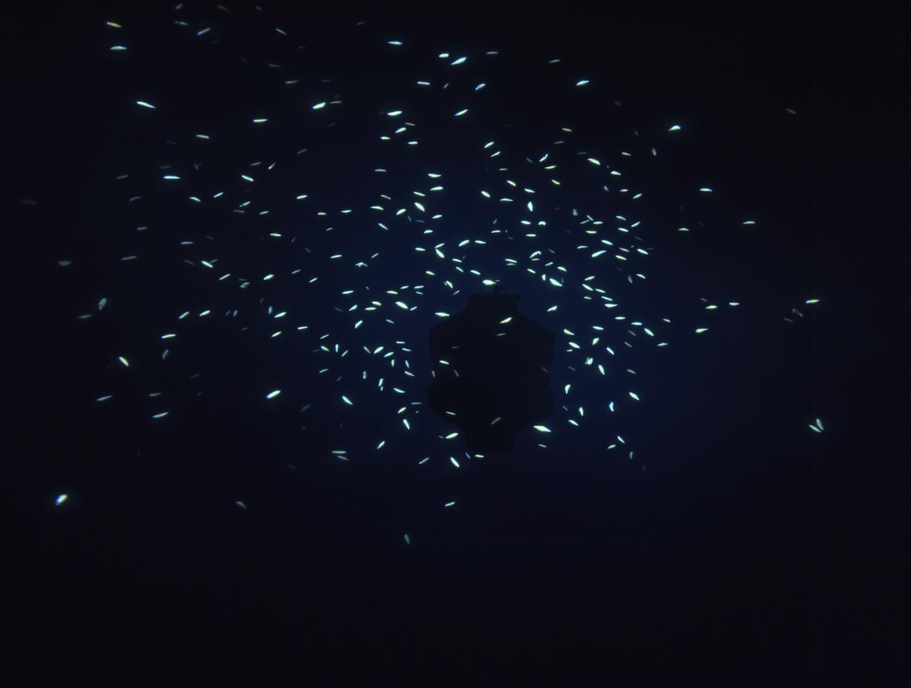 在线天堂视频纪录片:深海探秘观后感分享